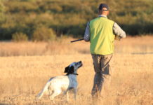 Maltrattamento animale e legge sulla caccia, interviene la cabina di regia del mondo venatorio maltrattamento animale cabina di regia del mondo venatorio