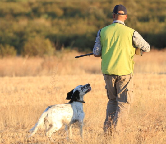 Maltrattamento animale e legge sulla caccia, interviene la cabina di regia del mondo venatorio maltrattamento animale cabina di regia del mondo venatorio
