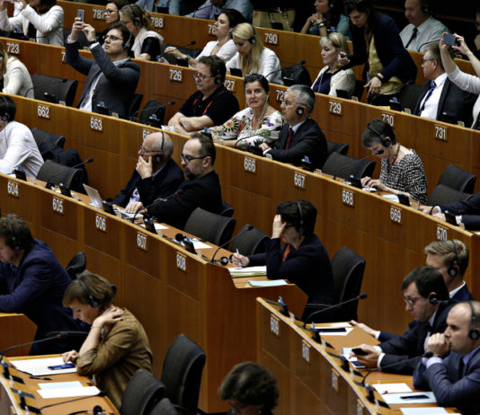 Interrogazione al parlamento europeo sui reati degli attivisti per i diritti degli animali parlamento europeo interrogazione sui reati degli attivisti per i diritti degli animali