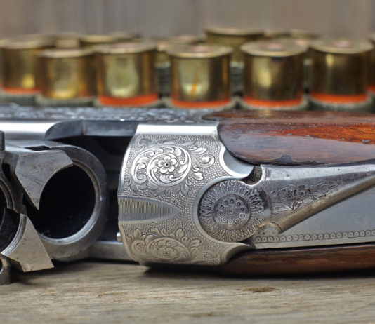 Viaggi venatori, le nuove proposte di Montefeltro per la caccia all’estero viaggi venatori fucile a canna liscia con munizioni per caccia all'estero