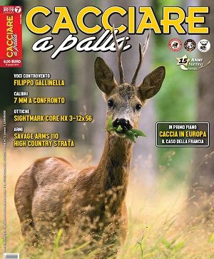 Cacciare a Palla n. 7 luglio 2019 Cacciare a Palla luglio 2019