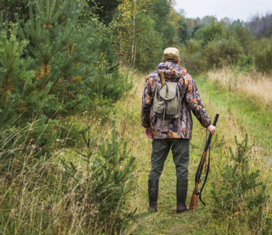 Caccia e controllo faunistico, da Bergamo richiesta netta Caccia e controllo faunistico, da Bergamo richiesta netta