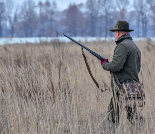 Calendari venatori, cabina di regia scrive a istituzioni cacciatore con fucile, calendari venatori