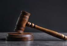 Diffamò morto a caccia, la sentenza della Cassazione diffamò morto a caccia, la sentenza della Cassazione: martello del giudice