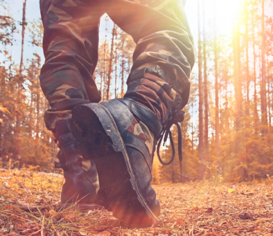 Sentenza del Tar su confini delle aree protette e territorio venabile confini delle aree protette e del territorio venabile, sentenza del tar della campania - primo piano su scarponi di cacciatore nel bosco