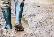 Intervista a Filippo Gallinella (5 Stelle) su Cacciare a Palla luglio 2019 intervista a filippo gallinella per cacciare a palla luglio 2019