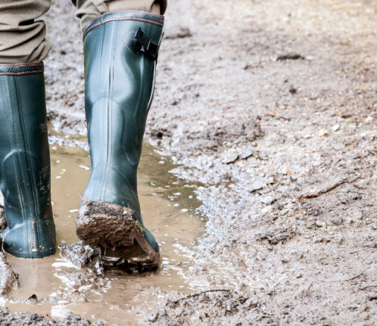 Intervista a Filippo Gallinella (5 Stelle) su Cacciare a Palla luglio 2019 intervista a filippo gallinella per cacciare a palla luglio 2019