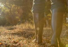 Ddl sul maltrattamento animale, Federcaccia pronta ad agire in modo incisivo stivali da cacciatore, federcaccia su maltrattamento animale