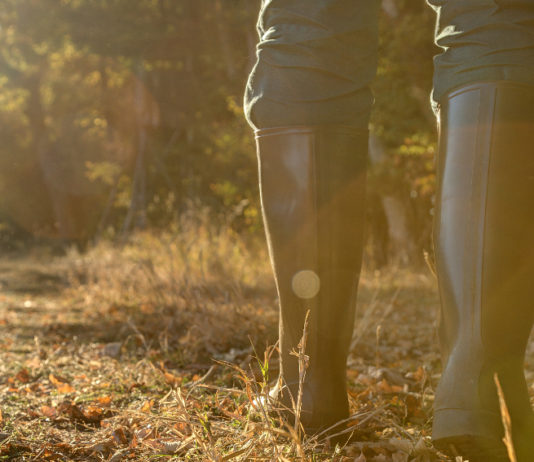 Ddl sul maltrattamento animale, Federcaccia pronta ad agire in modo incisivo stivali da cacciatore, federcaccia su maltrattamento animale