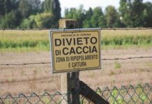 Ripopolamento e cattura della fauna selvatica ripopolamento fauna selvatica