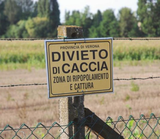 Ripopolamento e cattura della fauna selvatica ripopolamento fauna selvatica