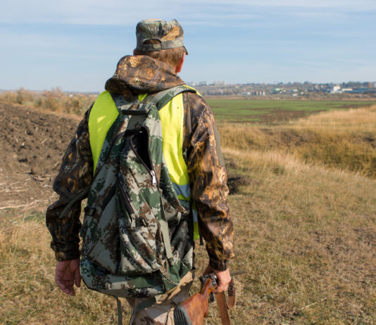 Approvato il calendario venatorio del Piemonte Approvato il calendario venatorio del Piemonte: cacciatore di spalle con cane