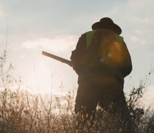 Approvato il calendario venatorio della Calabria calendario venatorio della calabria: cacciatore in alta visibilità di spalle con fucile
