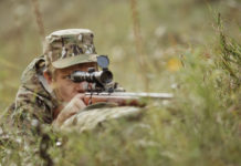 Caccia di selezione, il chiarimento di Federcaccia Caccia di selezione il chiarimento di Federcaccia