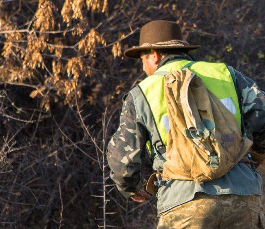 Caccia e agricoltura, accordo Coldiretti-Federcaccia Veneto Caccia e agricoltura, accordo Coldiretti - Federcaccia Veneto