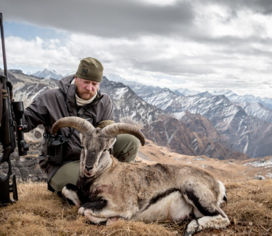 Cacciare a Palla agosto 2019 in edicola dal 17 luglio Cacciare a Palla agosto 2019