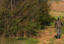 Calendario venatorio della Toscana: le anticipazioni della Cct calendario venatorio della Toscana: cacciatore di spalle sulle colline toscane