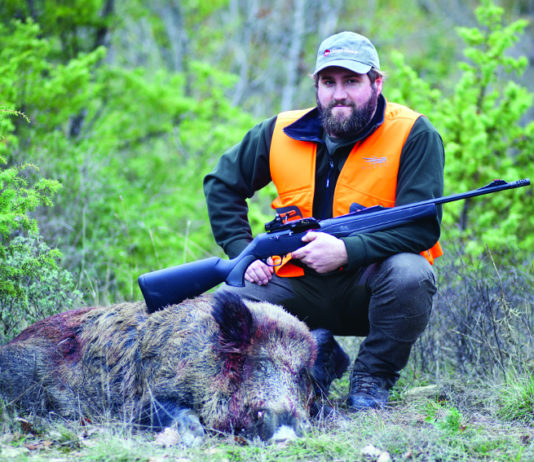 Cinghiale che Passione agosto-settembre 2019 in edicola dal 20 luglio Cinghiale che Passione agosto-settembre 2019