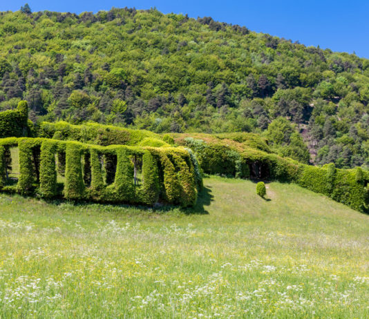 Manutenzione dei roccoli, Lombardia lavora al bando Manutenzione dei roccoli, Lombardia lavora al bando