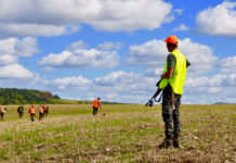 Sicurezza nella caccia al cinghiale, appuntamento Arcicaccia a Terni Sicurezza nella caccia al cinghiale, appuntamento Arcicaccia a Terni