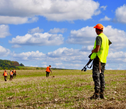 Sicurezza nella caccia al cinghiale, appuntamento Arcicaccia a Terni Sicurezza nella caccia al cinghiale, appuntamento Arcicaccia a Terni