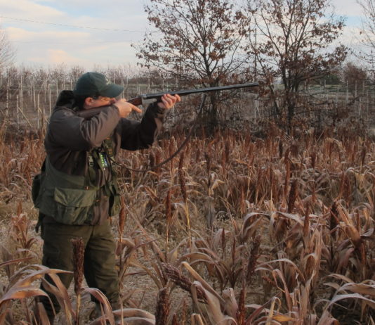 Ufficiale il calendario venatorio del Piemonte Ufficiale il calendario venatorio del Piemonte: cacciatore di profilo con fucile imbracciato