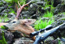 Sentieri di Caccia agosto 2019 in edicola dal 27 luglio sentieri di caccia agosto 2019