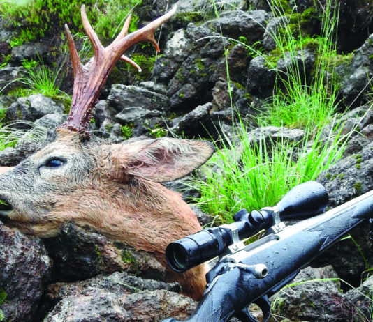 Sentieri di Caccia agosto 2019 in edicola dal 27 luglio sentieri di caccia agosto 2019