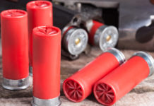 Munizioni in piombo, la lettera della Commissione europea cinque munizioni in piombo sul tavolo e due inserite nel fucile sullo sfondo