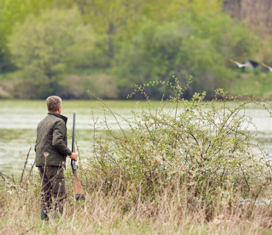 Racconti di caccia: torna il concorso letterario della Fidc di Firenze Racconti di caccia: cacciatore di anatre di spalle