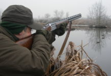 Richiami negli appostamenti: la Toscana chiarisce le condizioni di utilizzo caccia agli acquatici con richiami negli appostamenti