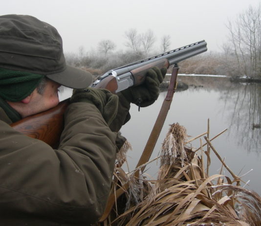Richiami negli appostamenti: la Toscana chiarisce le condizioni di utilizzo caccia agli acquatici con richiami negli appostamenti