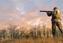 Ufficializzate le commissioni di lavoro Federcaccia cacciatore che imbraccia il fucile al tramonto: commissioni di lavoro Federcaccia