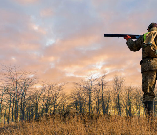 Ufficializzate le commissioni di lavoro Federcaccia cacciatore che imbraccia il fucile al tramonto: commissioni di lavoro Federcaccia