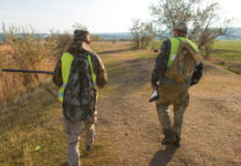 Autonomia differenziata, il Piemonte chiede maggiori competenze sulla caccia due cacciatori di spalle: il Piemonte chiede l'autonomia differenziata sull'esercizio dell'attività venatoria