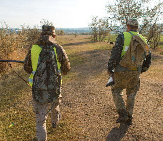 Autonomia differenziata, il Piemonte chiede maggiori competenze sulla caccia due cacciatori di spalle: il Piemonte chiede l'autonomia differenziata sull'esercizio dell'attività venatoria