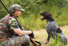 Caccia in Abruzzo, Pd sollecita la giunta caccia in Abruzzo, cacciatore seduto insieme a cane