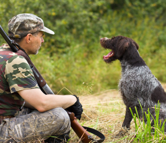Caccia in Abruzzo, Pd sollecita la giunta caccia in Abruzzo, cacciatore seduto insieme a cane