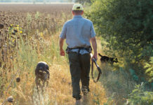Caccia in Abruzzo, la giunta si prepara alla decisione del Tar Caccia in Abruzzo, la giunta si prepara alla decisione del Tar