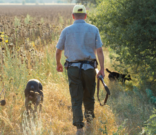 Caccia in Abruzzo, la giunta si prepara alla decisione del Tar Caccia in Abruzzo, la giunta si prepara alla decisione del Tar