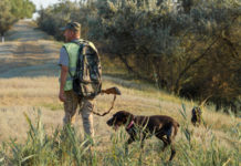 Calendario venatorio della Calabria, la sentenza del Tar calendario venatorio della calabria: cacciatore di spalle con zaino e fucile, al suo fianco un cane