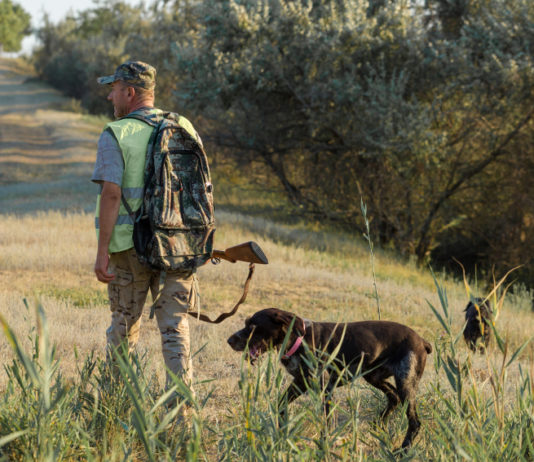 Calendario venatorio della Calabria, la sentenza del Tar calendario venatorio della calabria: cacciatore di spalle con zaino e fucile, al suo fianco un cane