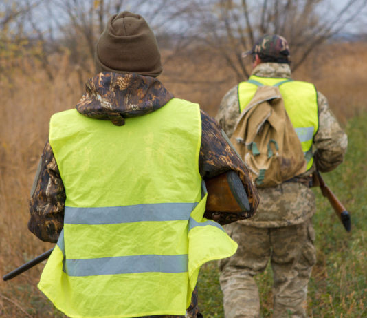 Calendario venatorio delle Marche e durata dei piani faunistico-venatori: l’ordinanza del Tar calendario venatorio delle marche: due cacciatori con gilet alta visibilità, di spalle