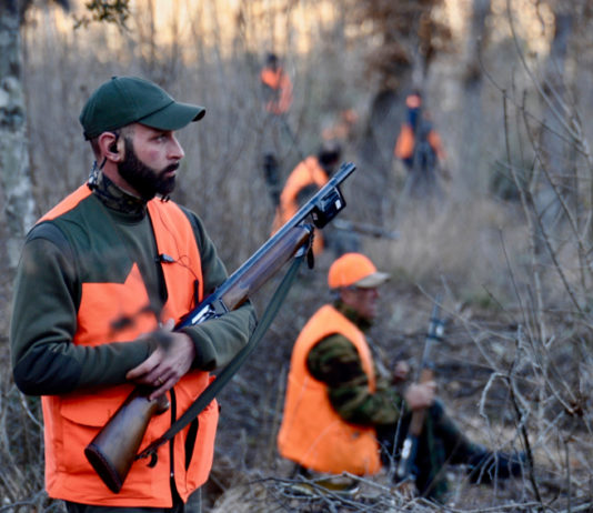 Cinghiale che Passione ottobre-novembre 2019 in edicola dal 20 settembre Cinghiale che Passione ottobre-novembre 2019 in edicola dal 20 settembre