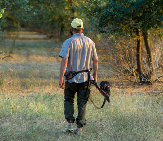 Ecco la data di apertura della caccia in Abruzzo data di apertura della caccia in Abruzzo: cacciatore di spalle con cane