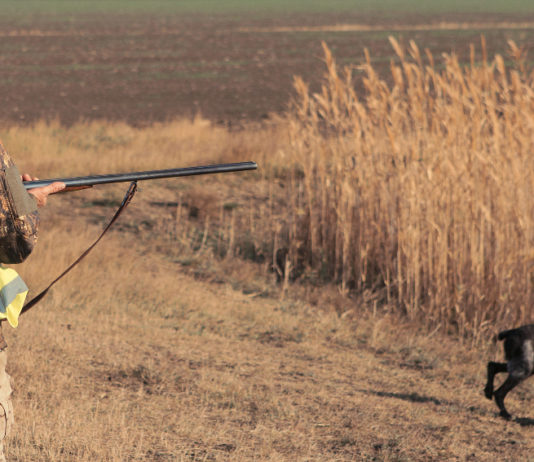 Game Fair: Buconi e Sorrenti rispondono alle domande dei cacciatori Game Fair: cacciatore con cane