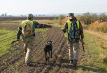 Gestione della fauna selvatica, iniziativa Arcicaccia-Cia Agricoltori gestione della fauna selvatica: due cacciatori in alta visibilità di spalle vicino a campo coltivato, cane in mezzo a loro
