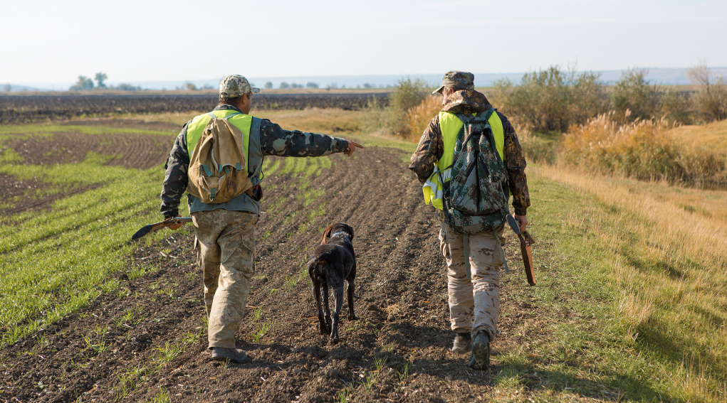 gestione della fauna selvatica: due cacciatori in alta visibilità di spalle vicino a campo coltivato, cane in mezzo a loro