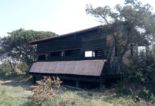 Inaugurato capanno di avvistamento nel Parco della Maremma capanno di avvistamento nel Parco della Maremma, a Bocca d'Ombrone