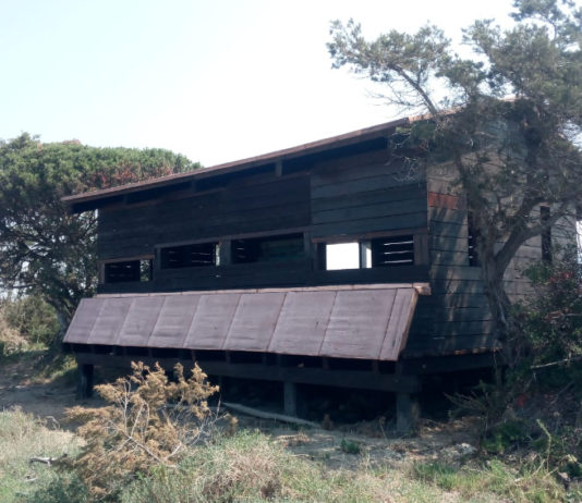 Inaugurato capanno di avvistamento nel Parco della Maremma capanno di avvistamento nel Parco della Maremma, a Bocca d'Ombrone